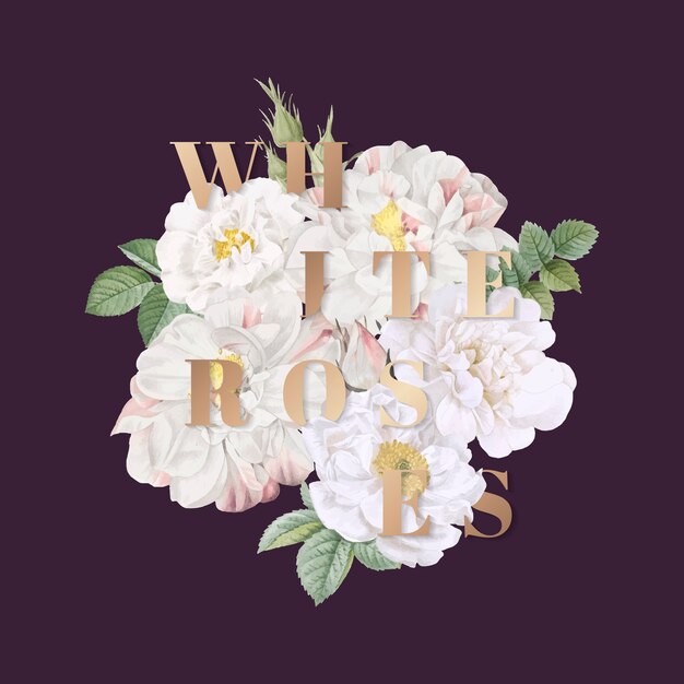 White roses background design