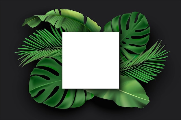 Free vector white square blank card with green exotic jungle leaves on black background monstera philodendron fan palm banana leaf areca palm with poster