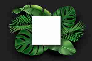 Free vector white square blank card with green exotic jungle leaves on black background monstera philodendron fan palm banana leaf areca palm with poster