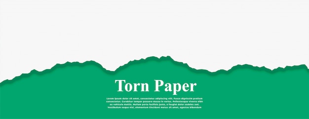 Бесплатное векторное изображение Белая рваная бумага на бирюзовом цветном баннере
