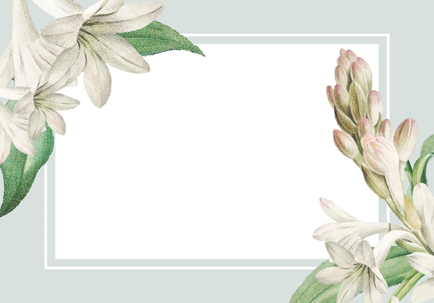 White tuberose framed card