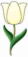 Free vector white tulip with green leaves