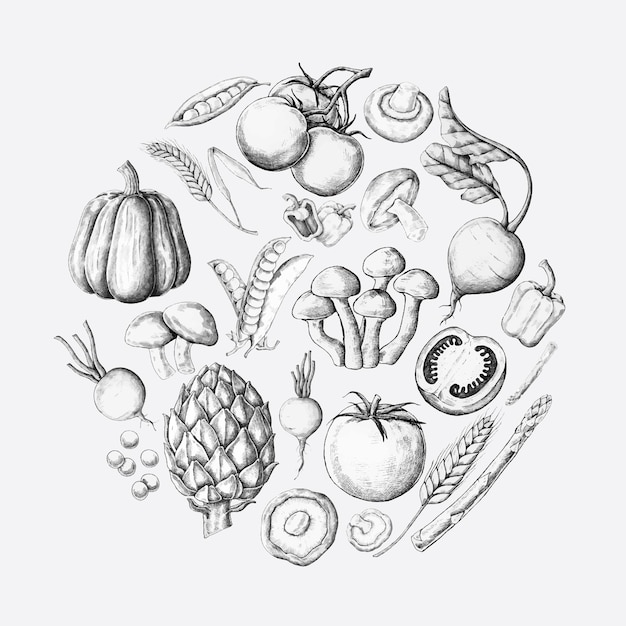 White vegetable design collection