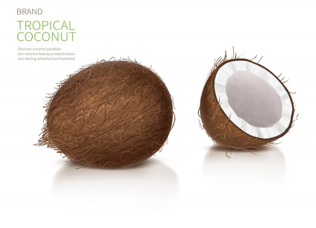 Целый и половинный сломанный орех кокоса