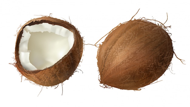 전체 및 절반 깨진 코코넛