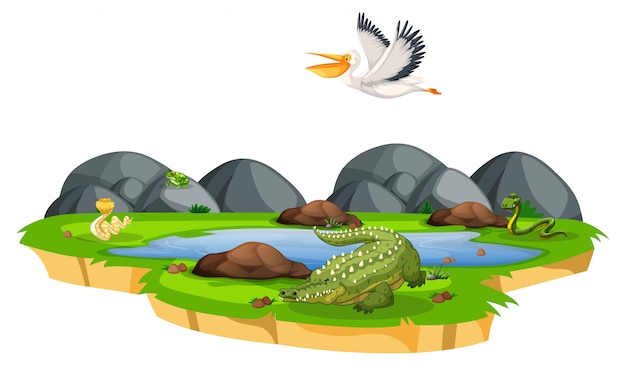 Free vector wild animal in nature