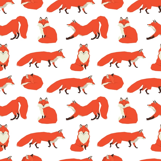 Wild animals collection Red Foxes Background