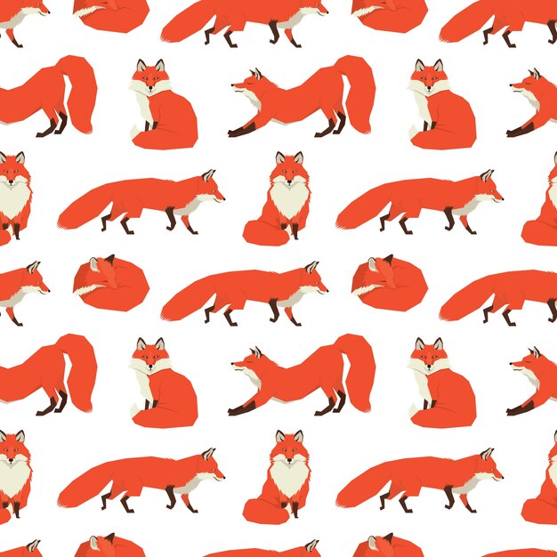 Wild animals collection Red Foxes Background