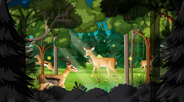 Wild animals in forest landscape background