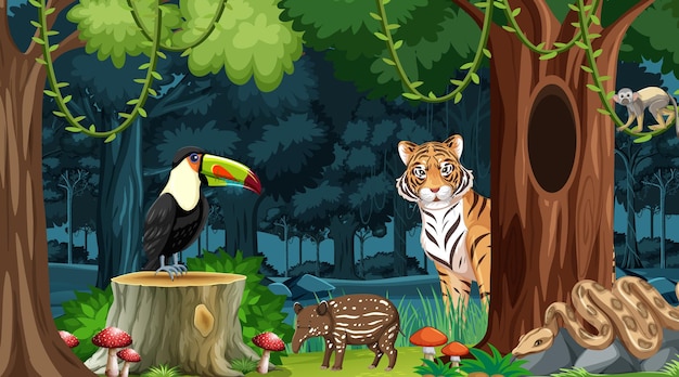 Wild animals in forest landscape background