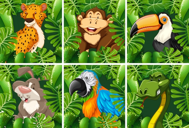 Free vector wild animals in the forest