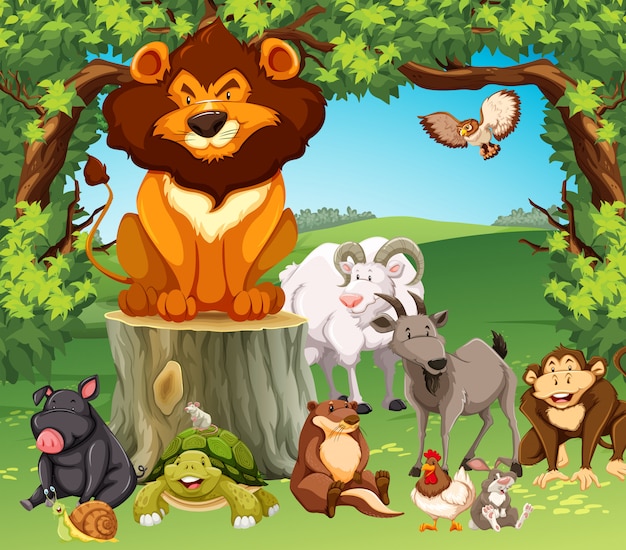 Free vector wild animals in the forest