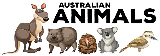 Wild animals from australia