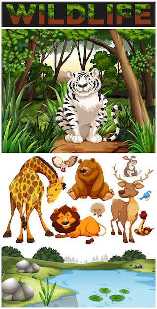 Free vector wild animals in the jungle
