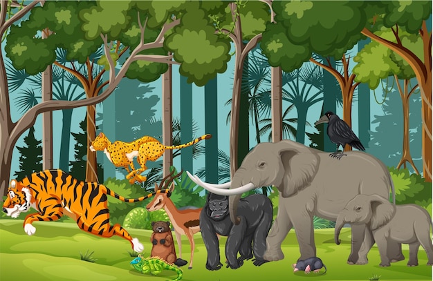 Free vector wild animals in nature forest scene