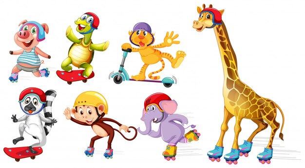 wild animals playing extreme sport