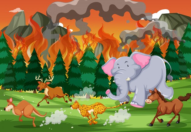 Дикие животные убегают от лесного пожара