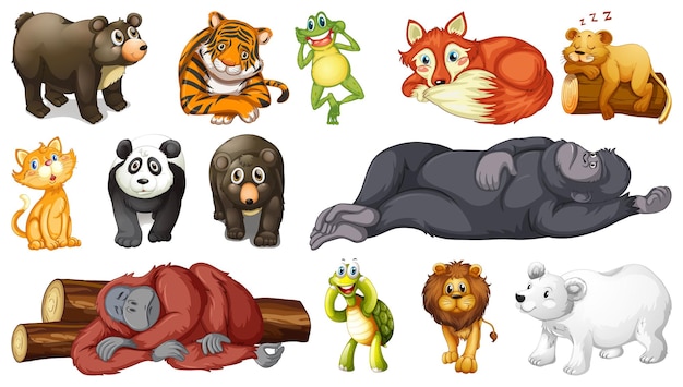 Wild animals set on white background