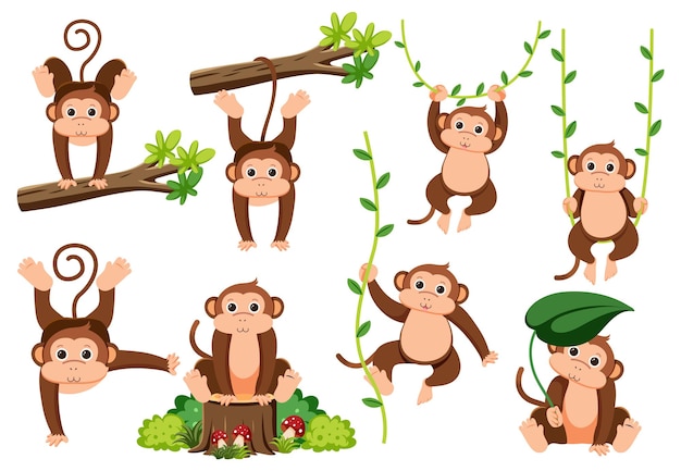 Cute monkey cartoon, Download on Freepik