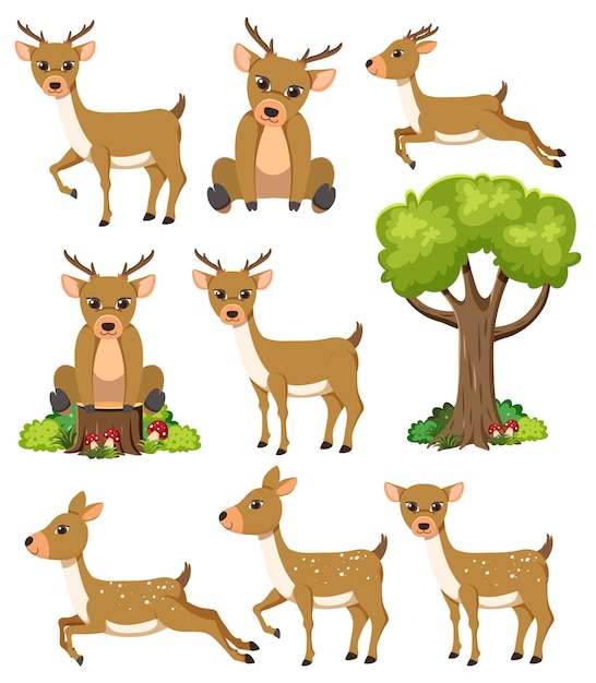 Wild animals set with nature elements