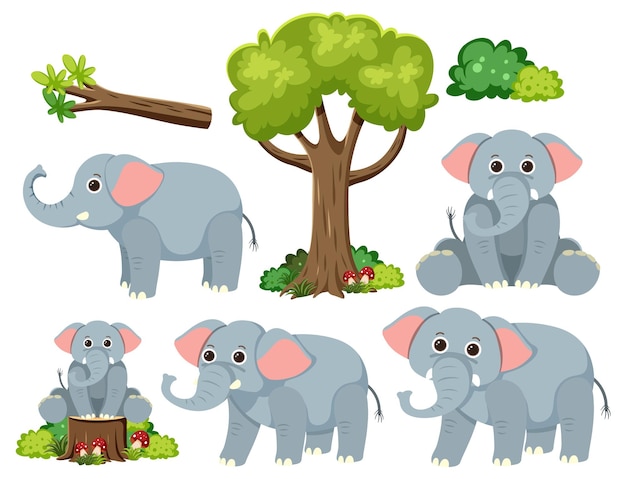 Wild animals set with nature elements