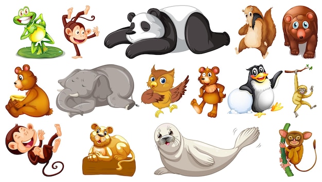 Free vector wild animals on white background