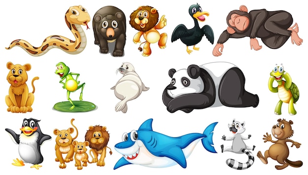 wild animals on white background
