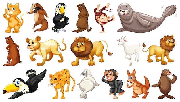 Wild animals on white background