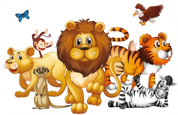 Wild animals on white background