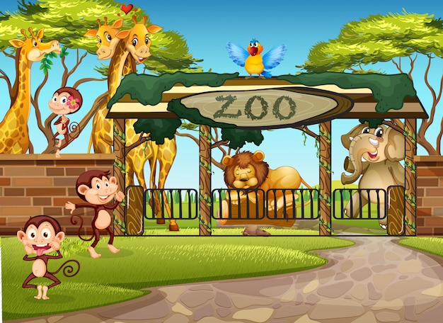 Download Zoo Vectors, Photos and PSD files | Free Download