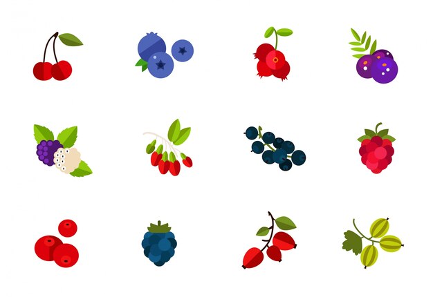 Wild and cultivated berries icon set
