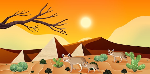 Wild desert landscape at daytime scene