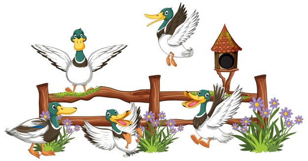 Wild ducks group cartoon