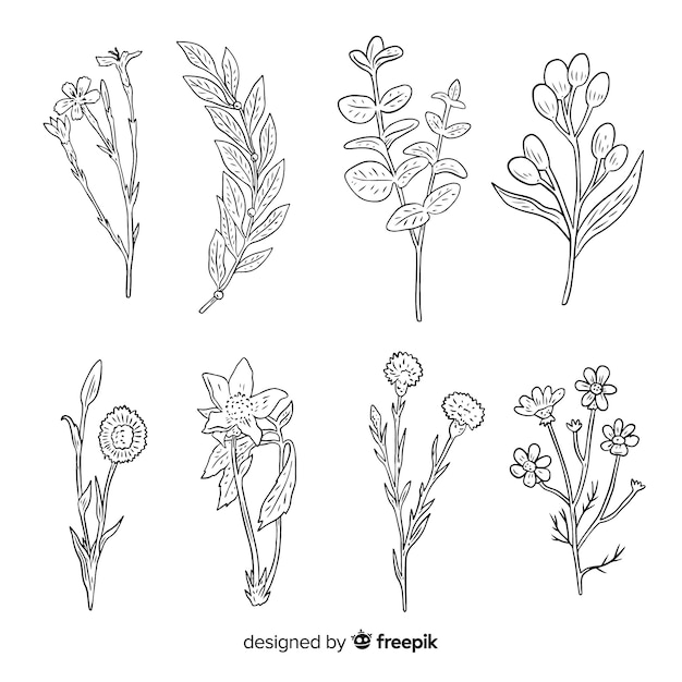 Wild flower collection with stems