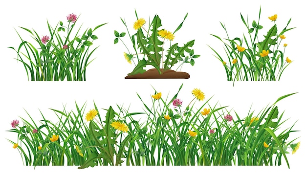 Free vector wild flowers in green grass realistic set of dandelions clovers buttercups isolated vector illustration