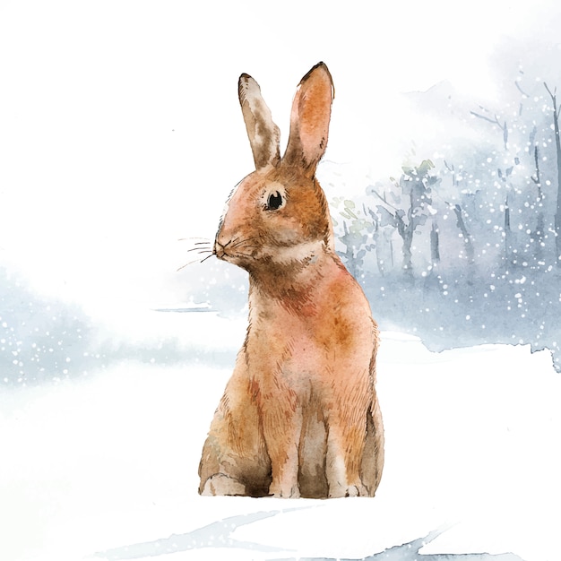 Дикий заяц в зимней стране чудес