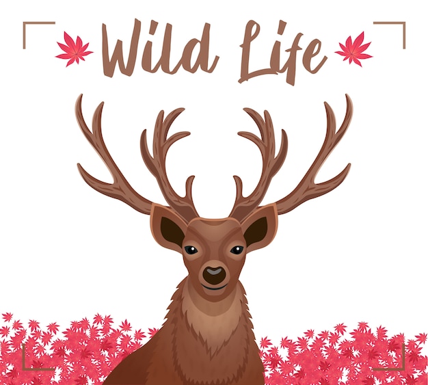 Wild life decorative poster with closeup dear head with horns antlers pink flowers  flat