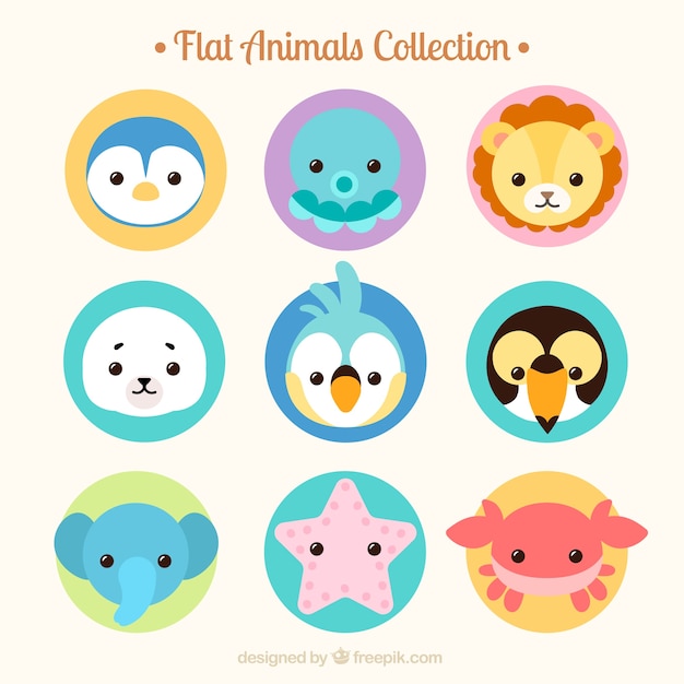 Free vector wild and marine animal collection