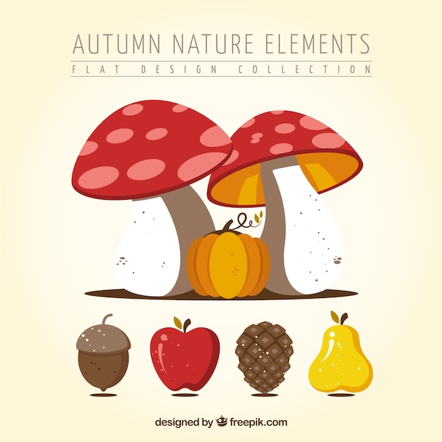 Free vector wild mushrooms with other autumnal fruits