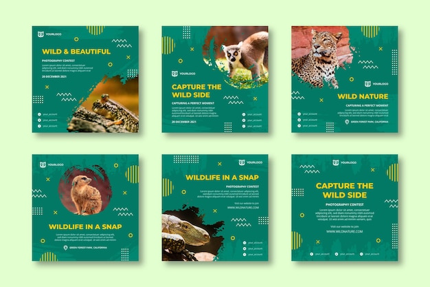 Free vector wild nature instagram posts collection