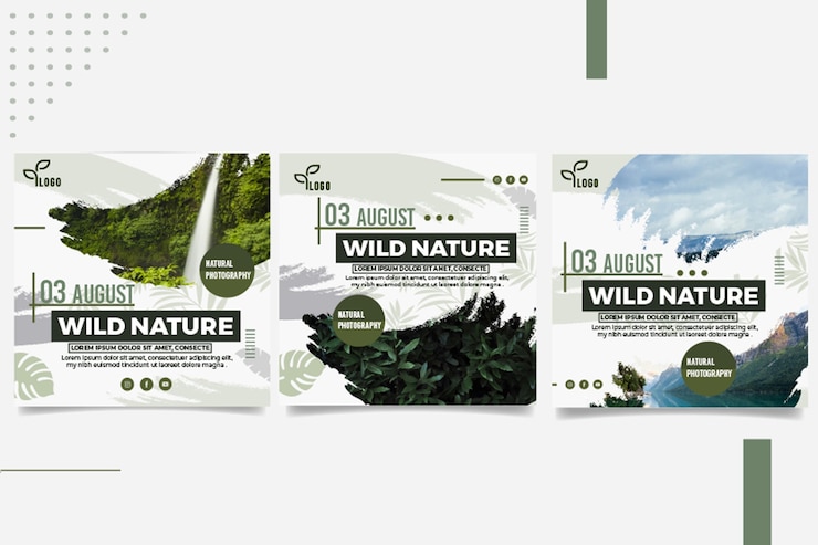 Free Vector wild nature instagram posts