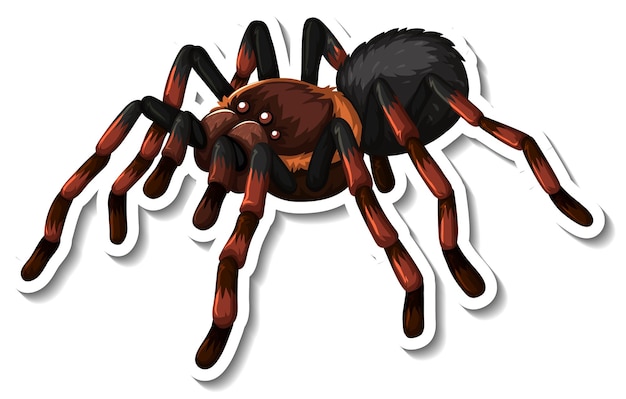 무료 벡터 흰색 바탕에 야생 거미 만화 스티커