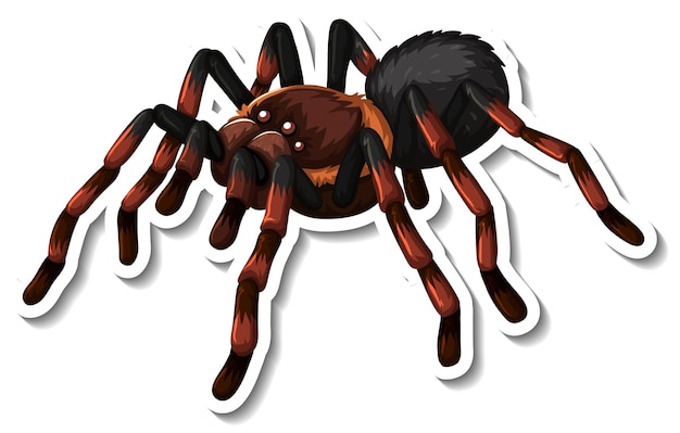 Spider Clip Art Images - Free Download on Freepik