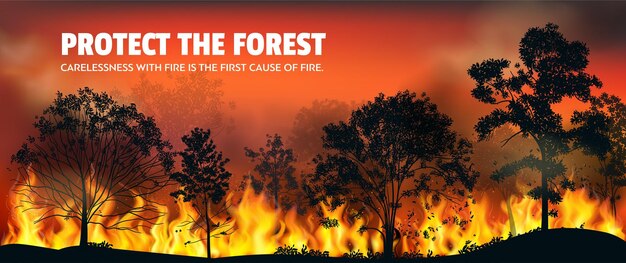 テキストと山火事の水平方向のイラストは、火の現実的なベクトルイラストで不注意から森を保護します