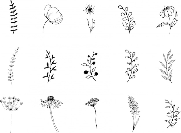 Premium Vector | Wildflower, line art doodle clipart, hand drawn