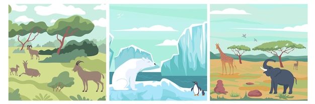 Free vector wildlife design concept with landscapes of various climate zones illustration