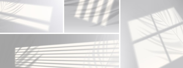 Window shadows with plant branches on wall realistic light blinds Overlay effect jalousie shade on white background Soft sunlight fall on room floor graphic design mockup 3d vector illustration