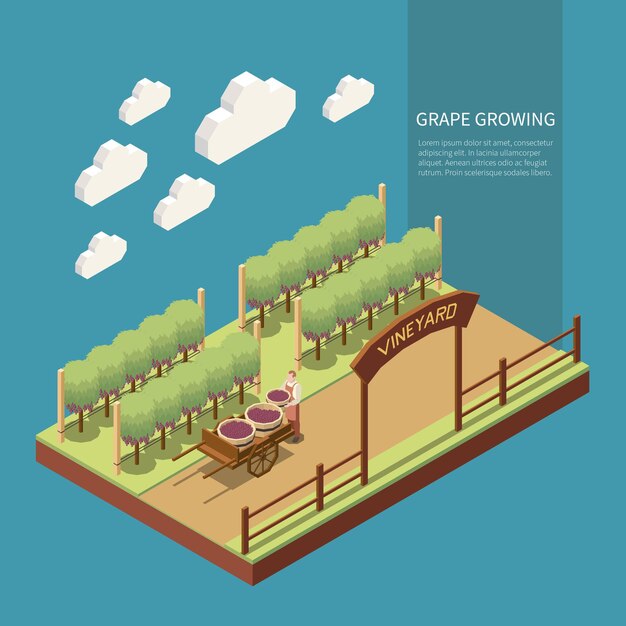 Free vector wine production isometric composition illustration