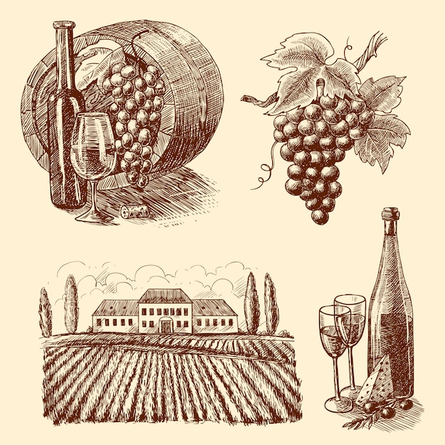 Free vector wine sketch decorative set