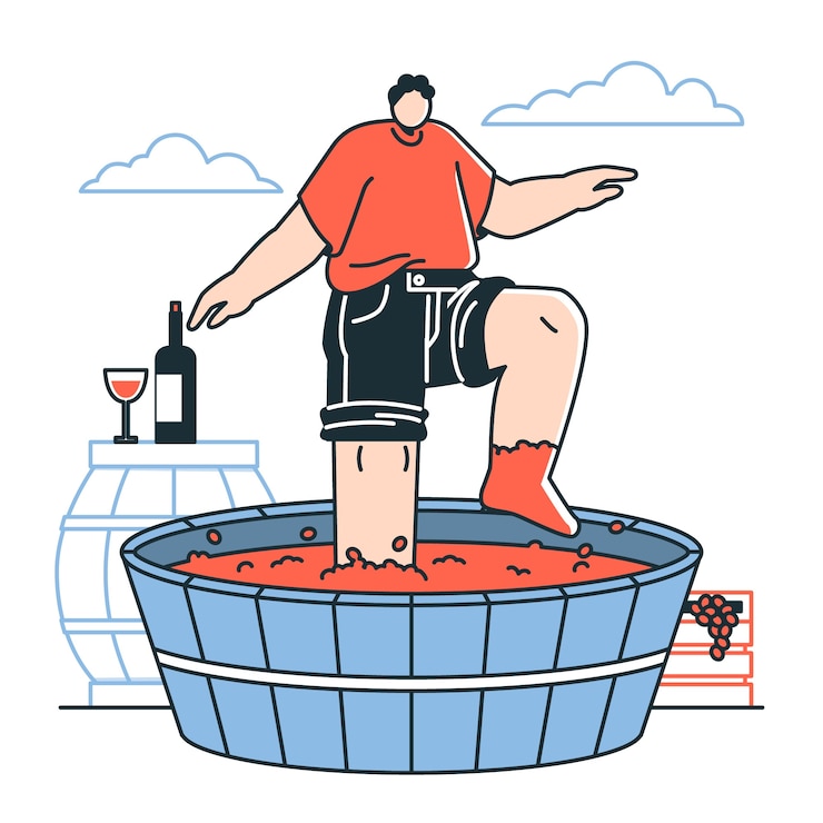 무료 Vector 전통적인 포도주 생산 개념 설명